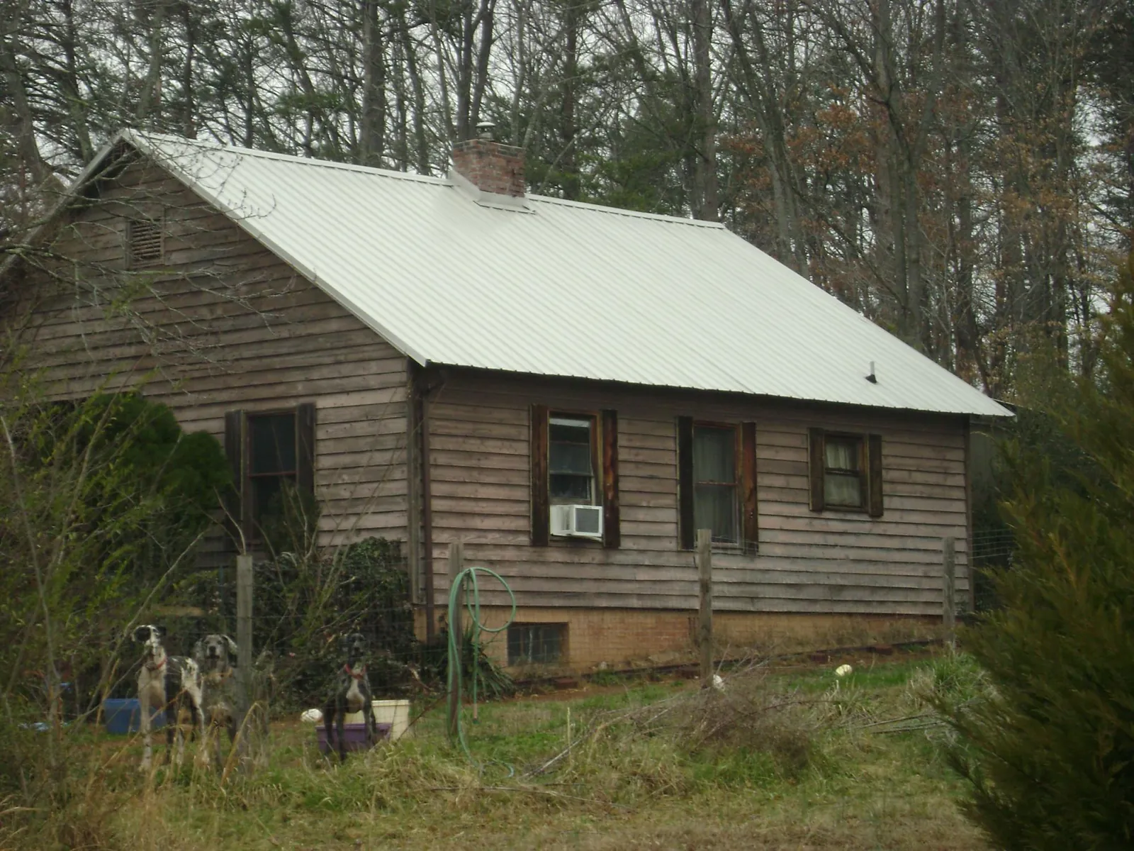 White metal roof on an old wood sided farmhouse, from a Asphalt Shingle Roof Repair job in Black Creek